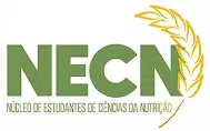 NECN Logo